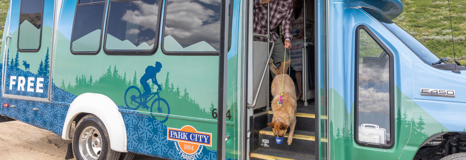 Dog Getting of Transit Bus